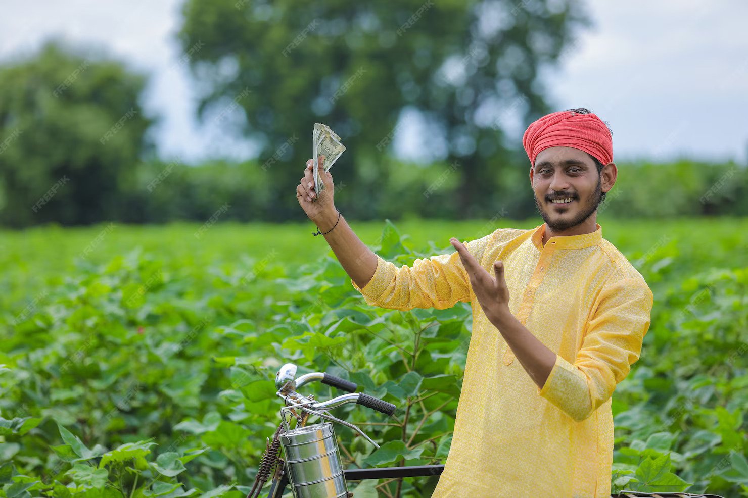 indian farmer showing money cotton field_75648 2061