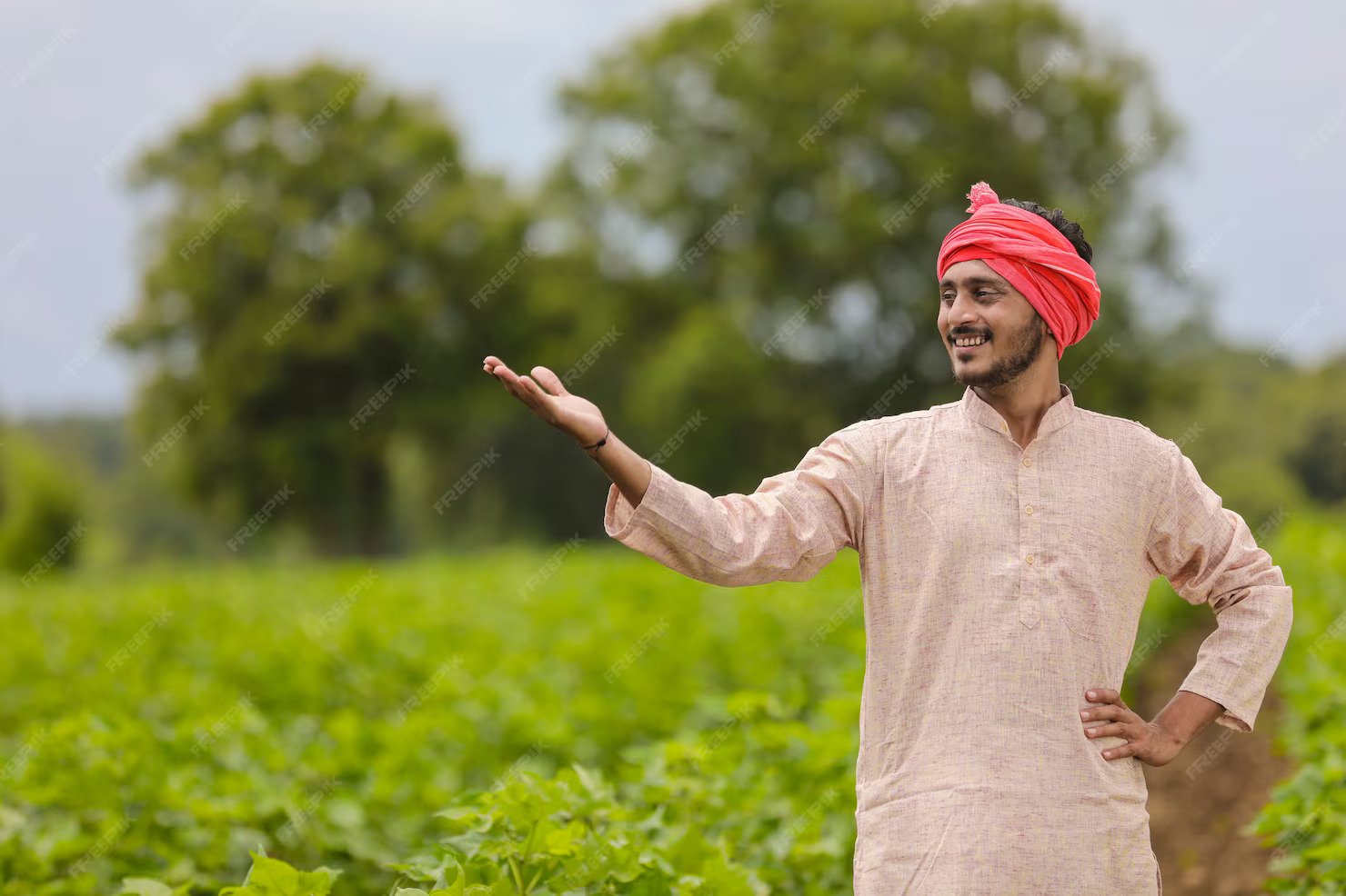 young indian farmer standing agriculture field_54391 4731